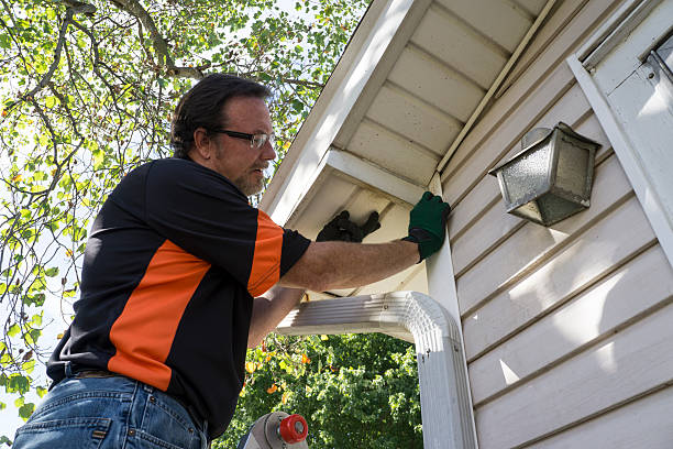 Shed Removal in Ballard, UT